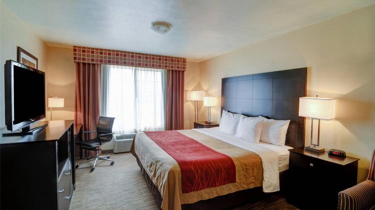 Comfort Inn & Suites Room