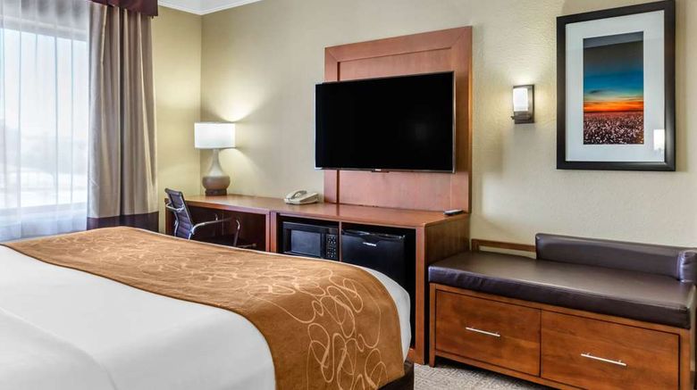 <b>Comfort Suites Plainview Suite</b>. Images powered by <a href="https://iceportal.shijigroup.com/" title="IcePortal" target="_blank">IcePortal</a>.
