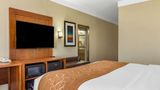 <b>Comfort Suites Plainview Suite</b>. Images powered by <a href="https://iceportal.shijigroup.com/" title="IcePortal" target="_blank">IcePortal</a>.