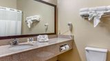 <b>Comfort Suites Plainview Room</b>. Images powered by <a href="https://iceportal.shijigroup.com/" title="IcePortal" target="_blank">IcePortal</a>.