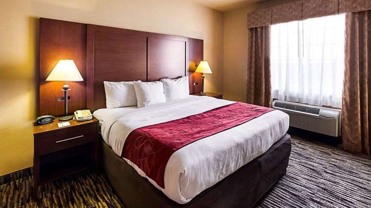 Comfort Suites Suite