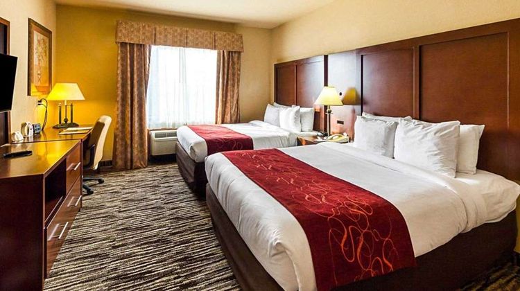 Comfort Suites Suite