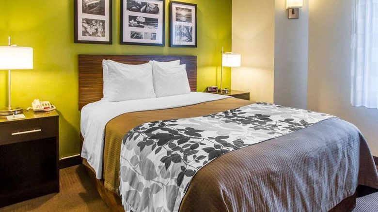 <b>Econo Lodge Amarillo East Room</b>. Images powered by <a href="https://iceportal.shijigroup.com/" title="IcePortal" target="_blank">IcePortal</a>.