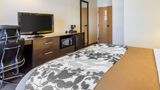 <b>Econo Lodge Amarillo East Room</b>. Images powered by <a href="https://iceportal.shijigroup.com/" title="IcePortal" target="_blank">IcePortal</a>.