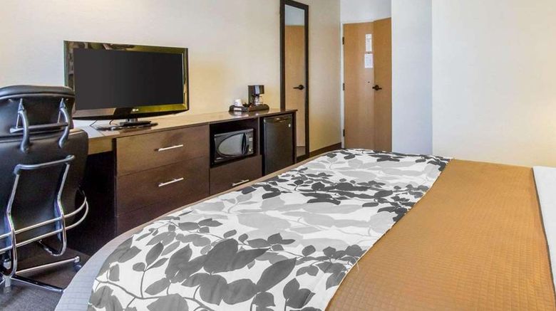 <b>Econo Lodge Amarillo East Room</b>. Images powered by <a href="https://iceportal.shijigroup.com/" title="IcePortal" target="_blank">IcePortal</a>.