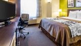 <b>Econo Lodge Amarillo East Room</b>. Images powered by <a href="https://iceportal.shijigroup.com/" title="IcePortal" target="_blank">IcePortal</a>.