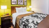 <b>Econo Lodge Amarillo East Room</b>. Images powered by <a href="https://iceportal.shijigroup.com/" title="IcePortal" target="_blank">IcePortal</a>.