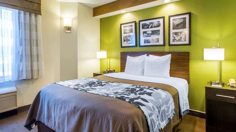 <b>Econo Lodge Amarillo East Room</b>. Images powered by <a href="https://iceportal.shijigroup.com/" title="IcePortal" target="_blank">IcePortal</a>.