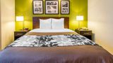 <b>Econo Lodge Amarillo East Room</b>. Images powered by <a href="https://iceportal.shijigroup.com/" title="IcePortal" target="_blank">IcePortal</a>.