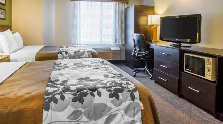 <b>Econo Lodge Amarillo East Room</b>. Images powered by <a href="https://iceportal.shijigroup.com/" title="IcePortal" target="_blank">IcePortal</a>.