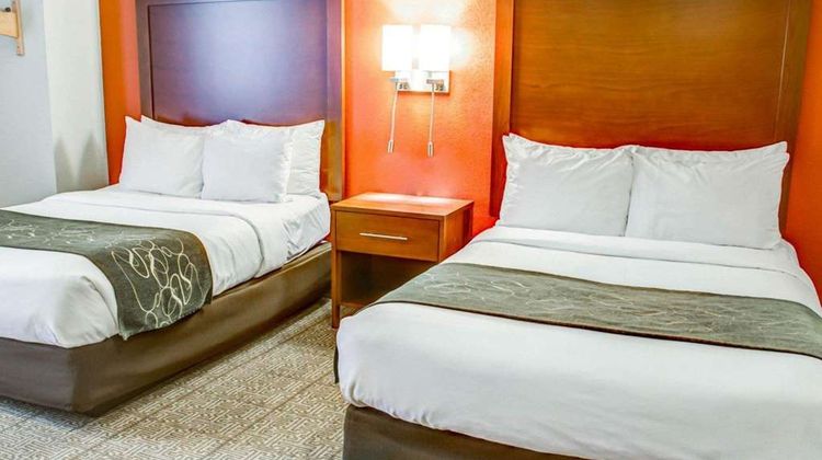 Comfort Suites Suite