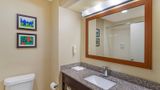 Comfort Suites - Deer Park Room