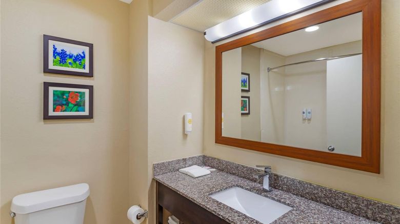 <b>Comfort Suites - Deer Park Room</b>. Images powered by <a href="https://iceportal.shijigroup.com/" title="IcePortal" target="_blank">IcePortal</a>.