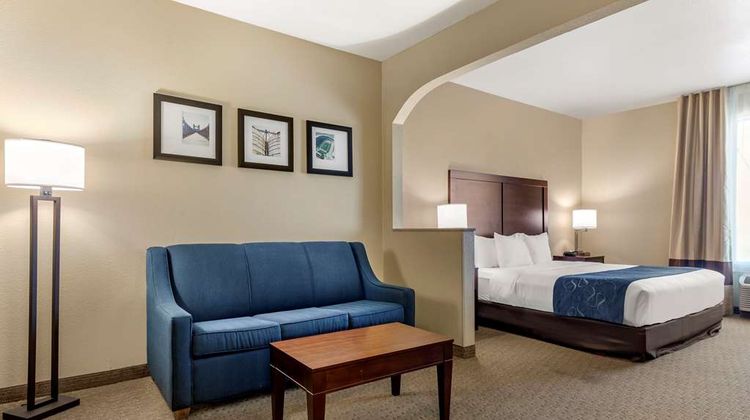 Comfort Suites Suite
