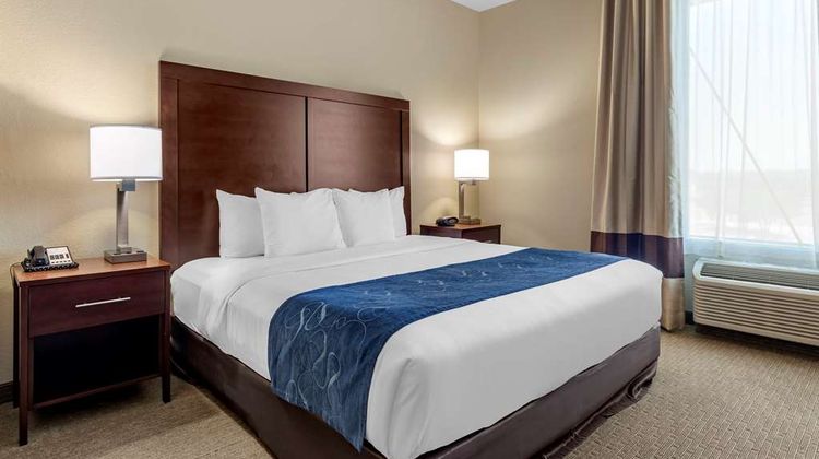 Comfort Suites Suite