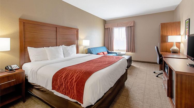 Comfort Inn & Suites Room