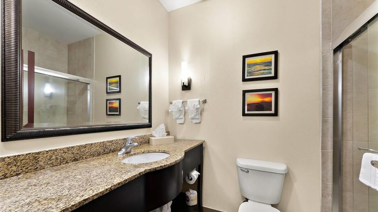 <b>Comfort Suites Central Corpus Christi Room</b>. Images powered by <a href="https://iceportal.shijigroup.com/" title="IcePortal" target="_blank">IcePortal</a>.