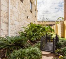 Comfort Suites Alamo/Riverwalk Exterior