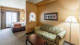 Comfort Suites Alamo/Riverwalk Suite