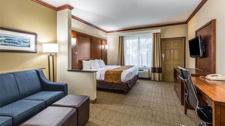Comfort Suites Suite