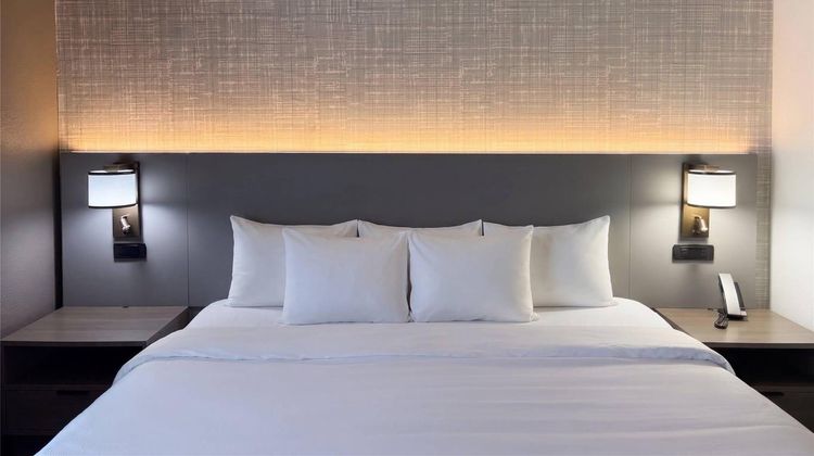 Comfort Suites Suite