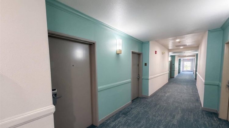 Comfort Suites Other