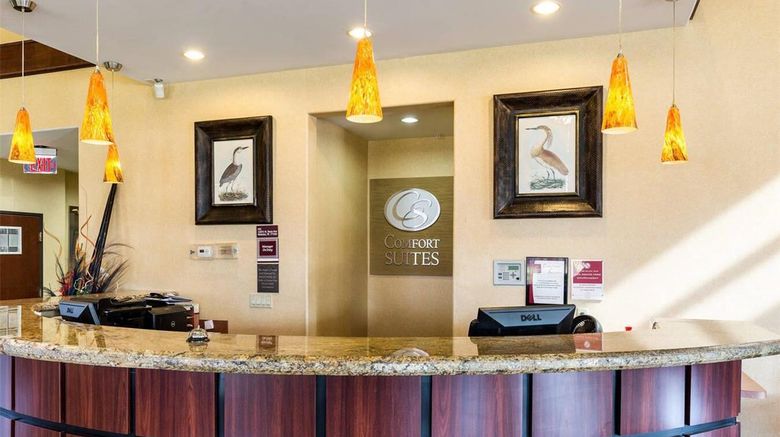 <b>Comfort Suites near NASA - Clear Lake Lobby</b>. Images powered by <a href="https://iceportal.shijigroup.com/" title="IcePortal" target="_blank">IcePortal</a>.
