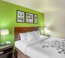 Sleep Inn & Suites Room