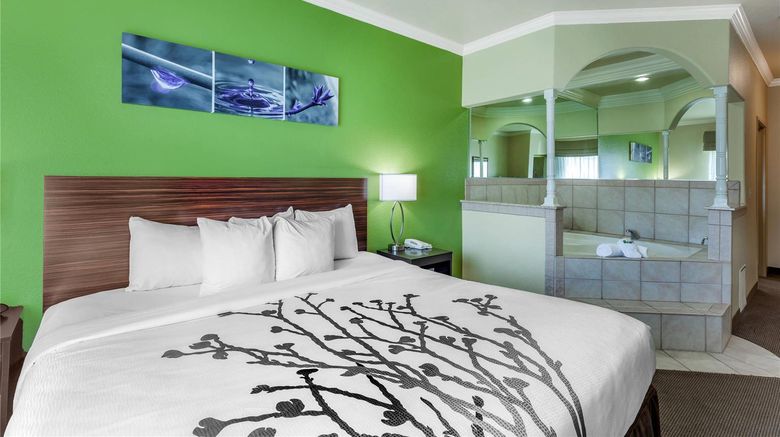 <b>Sleep Inn & Suites Suite</b>. Images powered by <a href="https://iceportal.shijigroup.com/" title="IcePortal" target="_blank">IcePortal</a>.