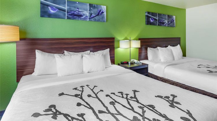 Sleep Inn & Suites Room
