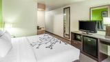 <b>Sleep Inn & Suites Room</b>. Images powered by <a href="https://iceportal.shijigroup.com/" title="IcePortal" target="_blank">IcePortal</a>.