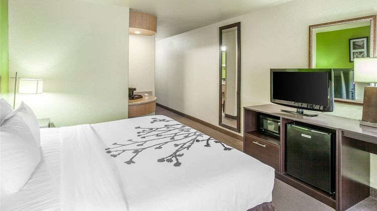 Sleep Inn & Suites Room