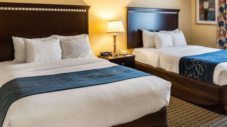 Comfort Suites Suite