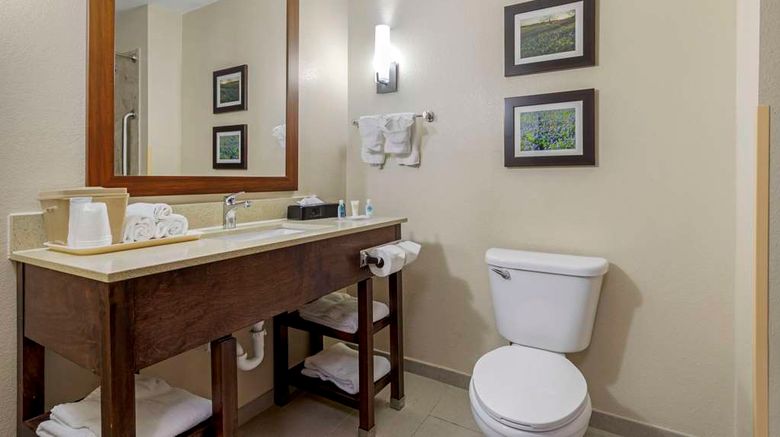 <b>Comfort Suites Benbrook Room</b>. Images powered by <a href="https://iceportal.shijigroup.com/" title="IcePortal" target="_blank">IcePortal</a>.