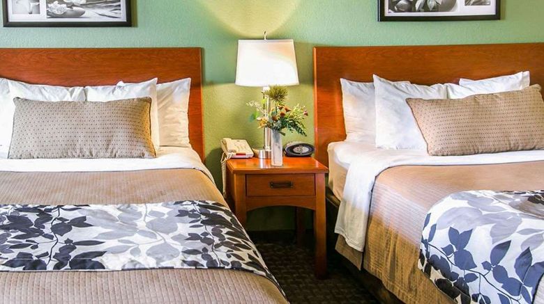 <b>Sleep Inn & Suites Room</b>. Images powered by <a href="https://iceportal.shijigroup.com/" title="IcePortal" target="_blank">IcePortal</a>.