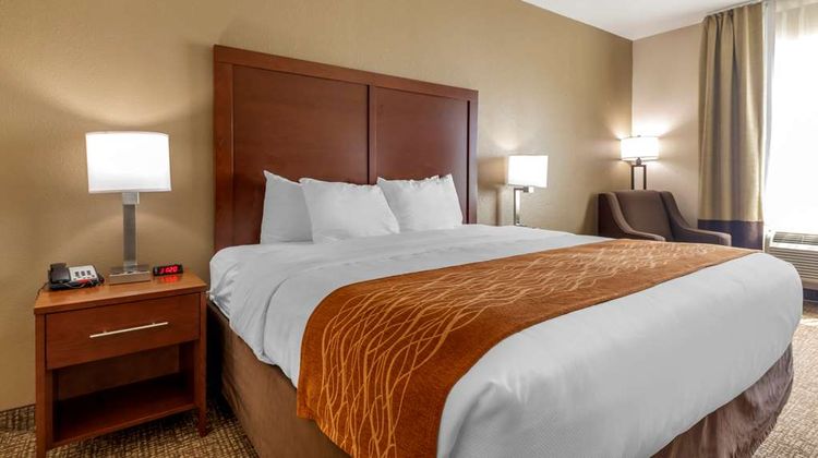 Comfort Inn Room