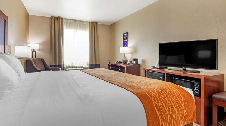 Comfort Inn Room