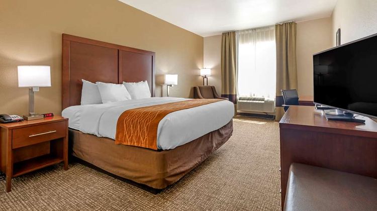 Comfort Inn Room