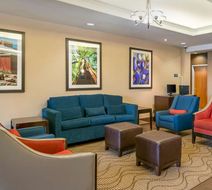 Comfort Inn & Suites Lobby