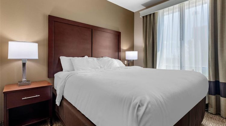 Comfort Suites Suite