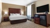 Comfort Suites Suite