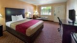 Econo Lodge & Suites Coliseum Room