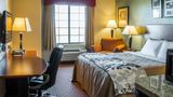 Sleep Inn & Suites at Six Flags Room
