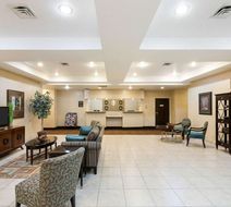 Comfort Inn & Suites Regional Medical Ce Lobby
