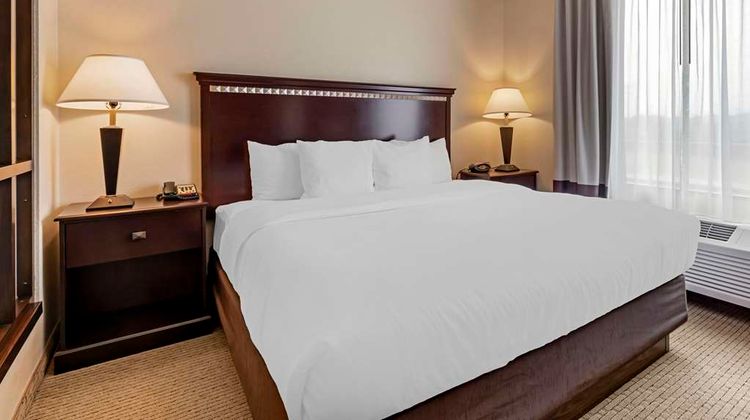 Comfort Suites Palestine Suite