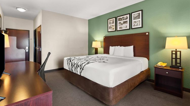 Sleep Inn & Suites Bush Intercontinental Room
