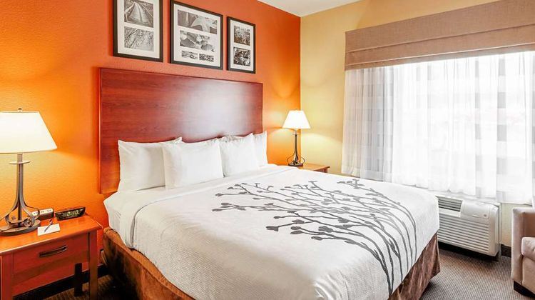 Sleep Inn and Suites Tyler South Room