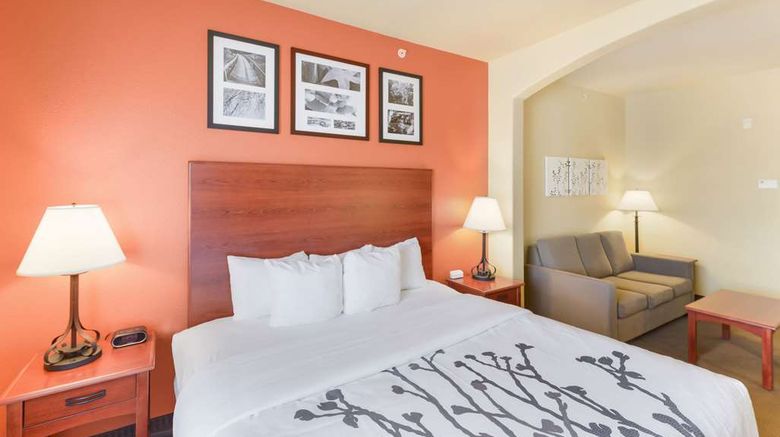 <b>Sleep Inn & Suites Midland Suite</b>. Images powered by <a href="https://iceportal.shijigroup.com/" title="IcePortal" target="_blank">IcePortal</a>.