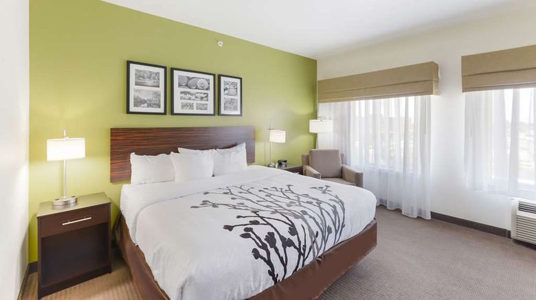 <b>Sleep Inn & Suites Midland Room</b>. Images powered by <a href="https://iceportal.shijigroup.com/" title="IcePortal" target="_blank">IcePortal</a>.