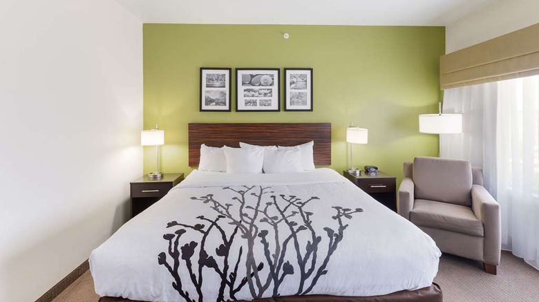 <b>Sleep Inn & Suites Midland Room</b>. Images powered by <a href="https://iceportal.shijigroup.com/" title="IcePortal" target="_blank">IcePortal</a>.